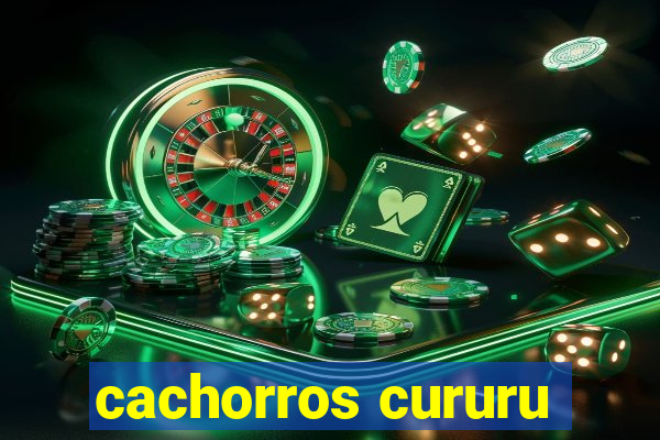 cachorros cururu